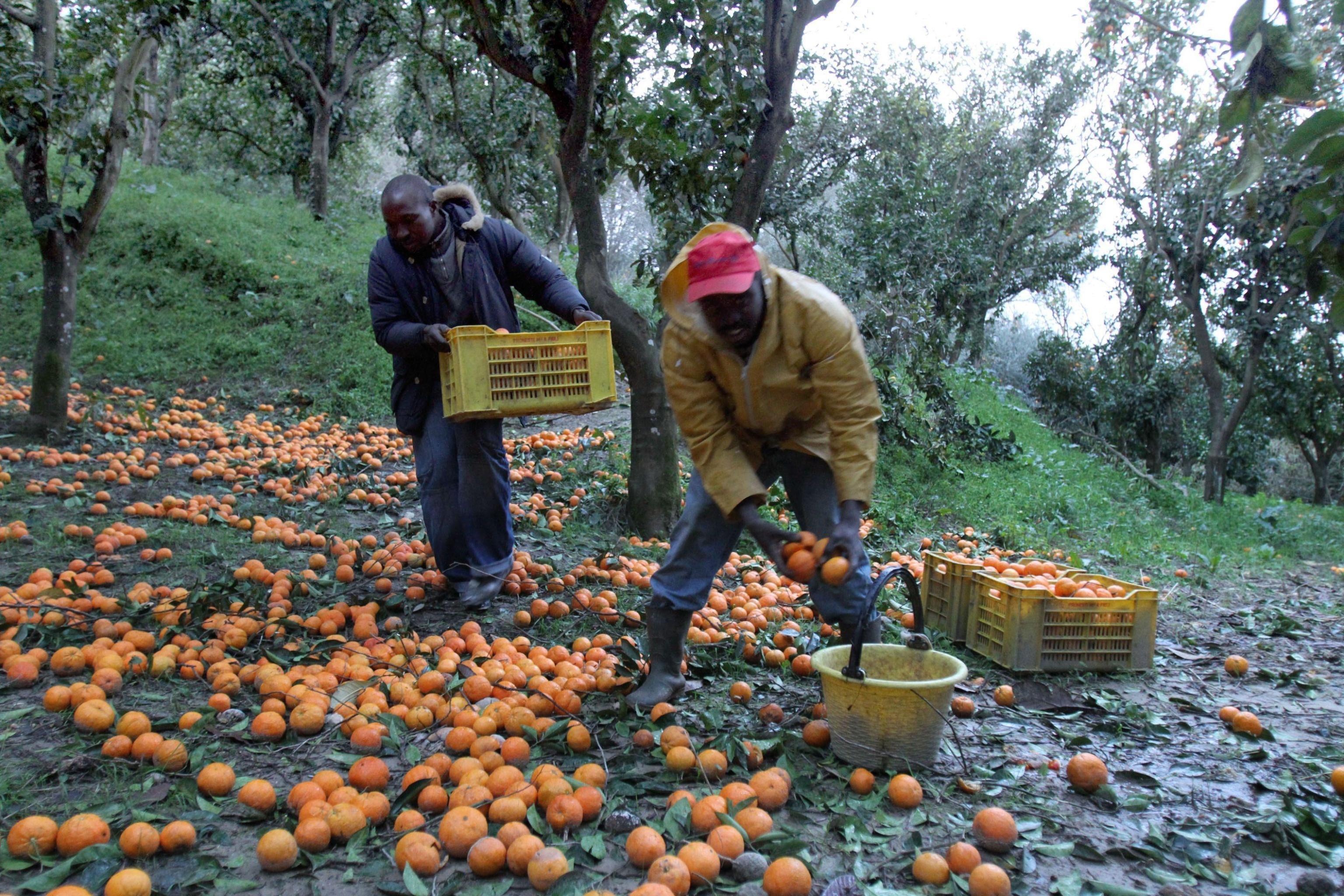 ARANCIATA FANTA LASCIA CALABRIA?COCA-COLA FORSE CI RIPENSA