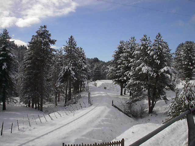 neve in calabria