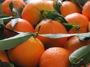 clementine-2