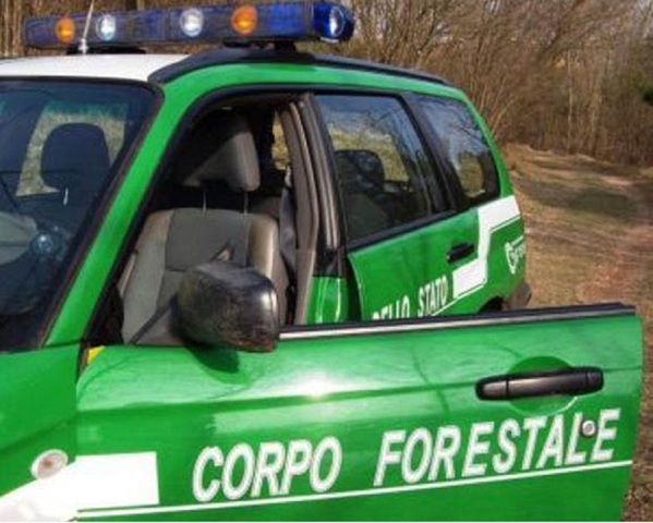 FOTO CARABINIERI FORESTALI